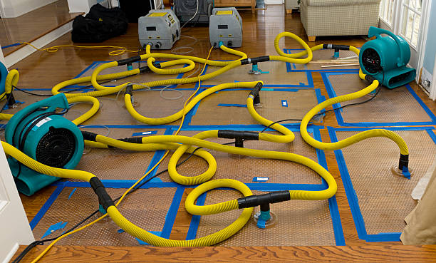 Professional Crawl Space Water Removal technician working in Valmeyer, IL